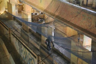 69cash_war_race_2016_252    